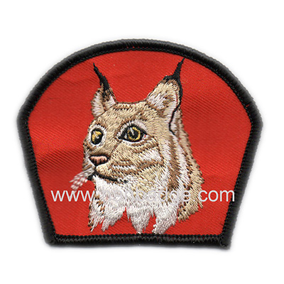 embroidered patch 11
